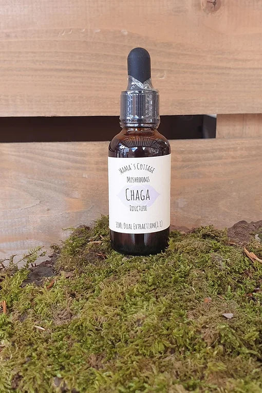 Chaga tincture - 30 ml