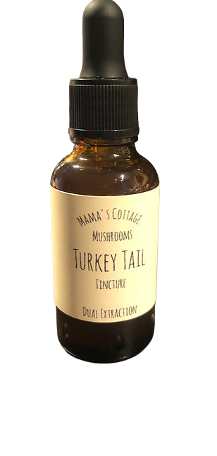 Turkey Tail  - 30 ml Tincture